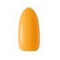 CLARESA Hybrid nail polish WARMIN "FALL 1 -5g