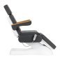 Elektrische behandelstoel Sillon Lux 273B grijs met 3 actuatoren voor cosmetische en specialistische salonbehandelingen Elektrische behandelstoel Sillon Lux 273B grijs met 3 actuatoren voor cosmetische en specialistische salonbehandelingen