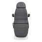 Elektrische behandelstoel Sillon Lux 273B grijs met 3 actuatoren voor cosmetische en specialistische salonbehandelingen Elektrische behandelstoel Sillon Lux 273B grijs met 3 actuatoren voor cosmetische en specialistische salonbehandelingen