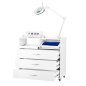 Podo-unit Y-200 Set Max voor professionele podologie en gespecialiseerde pedicure met boorunit, loeplamp en UV-C-sterilisator Podo-unit Y-200 Set Max voor professionele podologie en gespecialiseerde pedicure met boorunit, loeplamp en UV-C-sterilisator