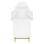 Cosmetic chair 557G with cuvettes white