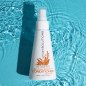 Erstaunliche Vorteile des Smart Solutions Spray Conditioner 120 ml.