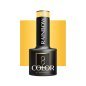 OCHO NAILS Hybrid nail polish rainbow R01 -5 g