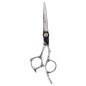 Professionele kappersschaar Diana Zilver 5,5 inch van SUS 420C RVS met ergonomische grip en precisiesnede voor salons