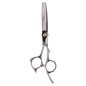 Professionele uitdunschaar Diana Silver 5,5 inch van SUS 420C RVS met zilveren coating en precisiesnede voor kappers Professionele uitdunschaar Diana Silver 5,5 inch van SUS 420C RVS met zilveren coating en precisiesnede voor kappers