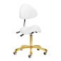 Cosmetische kruk Giovanni 1004 goud-wit, verstelbaar en comfortabel voor beauty salons en professionele behandelruimtes Cosmetische kruk Giovanni 1004 goud-wit, verstelbaar en comfortabel voor beauty salons en professionele behandelruimtes