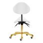 Cosmetische kruk Giovanni 1004 goud-wit, verstelbaar en comfortabel voor beauty salons en professionele behandelruimtes Cosmetische kruk Giovanni 1004 goud-wit, verstelbaar en comfortabel voor beauty salons en professionele behandelruimtes