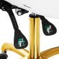 Cosmetische kruk Giovanni 1004 goud-wit, verstelbaar en comfortabel voor beauty salons en professionele behandelruimtes Cosmetische kruk Giovanni 1004 goud-wit, verstelbaar en comfortabel voor beauty salons en professionele behandelruimtes
