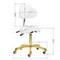 Cosmetische kruk Giovanni 1004 goud-wit, verstelbaar en comfortabel voor beauty salons en professionele behandelruimtes Cosmetische kruk Giovanni 1004 goud-wit, verstelbaar en comfortabel voor beauty salons en professionele behandelruimtes