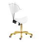Cosmetische kruk Giovanni 1004 goud-wit, verstelbaar en comfortabel voor beauty salons en professionele behandelruimtes Cosmetische kruk Giovanni 1004 goud-wit, verstelbaar en comfortabel voor beauty salons en professionele behandelruimtes