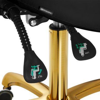 Professionele cosmetische kruk Giovanni 1004 goud-zwart met hoogteverstelling, rugleuning en voetensteun voor salon