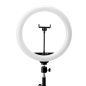 GLOW 10" bsc RGB ring lamp with 10W tripod