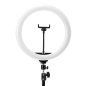 Professionele ringlamp Glow 13" BSC 10 W met statief voor salons, studio's, beautybehandelingen en contentcreatie