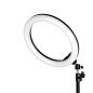 Professionele ringlamp GLOW 13 inch BSC RGB 10 W met statief voor salon, studio, beautypraktijk en contentwerkplek
