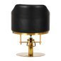 Hairdressing chair Burgos black gold Hairdressing chair Burgos black gold