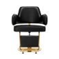 Friseurstuhl Gabbiano Linz NQ gold-schwarz Friseurstuhl Gabbiano Linz NQ gold-schwarz