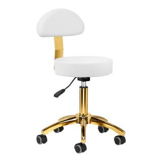 Professionele cosmetische werkkruk AM-304G wit voor schoonheidssalon, kapsalon, podologiepraktijk en beautystudio