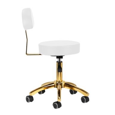 Professionele cosmetische werkkruk AM-304G wit voor schoonheidssalon, kapsalon, podologiepraktijk en beautystudio