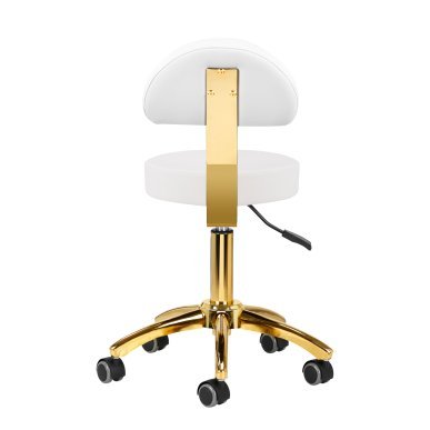 Professionele cosmetische werkkruk AM-304G wit voor schoonheidssalon, kapsalon, podologiepraktijk en beautystudio