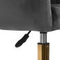 Professionele draaistoel 4Rico QS-OF212G grijs met verstelbare zithoogte voor beauty- en kapsalon, receptie en make-up Professionele draaistoel 4Rico QS-OF212G grijs met verstelbare zithoogte voor beauty- en kapsalon, receptie en make-up