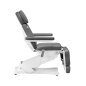 Elektryczny fotel kosmetyczny SILLON Classic Pedi 3 silniki z pedi kołyską szary