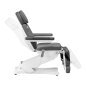 Elektryczny fotel kosmetyczny SILLON Classic Pedi 3 silniki z pedi kołyską szary