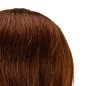 Kappers-oefenhoofd met baard Gabbiano WZ4 van natuurlijk haar, kleur 4 bruin, 8 inch + 6 inch beard voor training