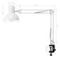 PiX 314 desk lamp white