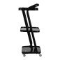 Professionele cosmetische trolley Pro Ink 6701 zwart voor georganiseerde salonwerkplekken en comfortabel specialistisch werk Professionele cosmetische trolley Pro Ink 6701 zwart voor georganiseerde salonwerkplekken en comfortabel specialistisch werk