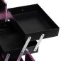 Cosmetische koffer model 40 roze voor stylisten, mobiele beautyprofessionals en overzichtelijke opslag van cosmetica en tools Cosmetische koffer model 40 roze voor stylisten, mobiele beautyprofessionals en overzichtelijke opslag van cosmetica en tools