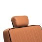 Gabbiano Visionerio barber chair light brown
