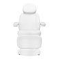 Cosmetic Chair Sillon Classic Electric 3 Motors Heated White
