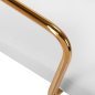 Professionele cosmetische stoel QS-OF211G goud lichtgrijs voor beauty, salons en gezichtsverzorging Professionele cosmetische stoel QS-OF211G goud lichtgrijs voor beauty, salons en gezichtsverzorging