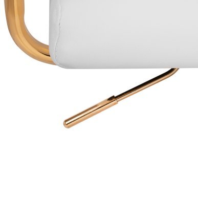 Professionele cosmetische stoel QS-OF211G goud lichtgrijs voor beauty, salons en gezichtsverzorging