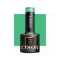 OCHO NAILS Hybrid nail polish Sorbet S02 -5 g