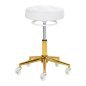 Professionele kapperskruk Gabbiano D054G wit goud voor professioneel ergonomisch werk en dagelijks comfort in de kapsalon