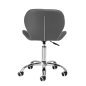 Professionele cosmetische kruk 4Rico QS-06 grijs met verstelbare zithoogte voor salon, manicure en make-up Professionele cosmetische kruk 4Rico QS-06 grijs met verstelbare zithoogte voor salon, manicure en make-up