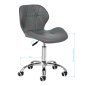 Professionele cosmetische kruk 4Rico QS-06 grijs met verstelbare zithoogte voor salon, manicure en make-up Professionele cosmetische kruk 4Rico QS-06 grijs met verstelbare zithoogte voor salon, manicure en make-up