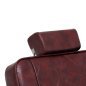 Hair System barber chair BM88066 burgundy