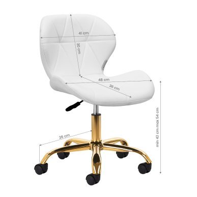 Cosmetische kruk 4Rico QS-06G wit voor professioneel salonwerk met verstelbare zithoogte en comfortabele rugleuning
