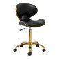Professionele cosmetische kruk Gabbiano Q-4599G zwart goud met rugleuning voor salons, praktijken en mobiele werkplekken Professionele cosmetische kruk Gabbiano Q-4599G zwart goud met rugleuning voor salons, praktijken en mobiele werkplekken