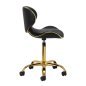 Professionele cosmetische kruk Gabbiano Q-4599G zwart goud met rugleuning voor salons, praktijken en mobiele werkplekken Professionele cosmetische kruk Gabbiano Q-4599G zwart goud met rugleuning voor salons, praktijken en mobiele werkplekken