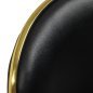 Professionele cosmetische kruk Gabbiano Q-4599G zwart goud met rugleuning voor salons, praktijken en mobiele werkplekken Professionele cosmetische kruk Gabbiano Q-4599G zwart goud met rugleuning voor salons, praktijken en mobiele werkplekken