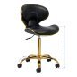 Professionele cosmetische kruk Gabbiano Q-4599G zwart goud met rugleuning voor salons, praktijken en mobiele werkplekken Professionele cosmetische kruk Gabbiano Q-4599G zwart goud met rugleuning voor salons, praktijken en mobiele werkplekken