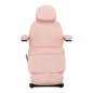 Elektrische behandelstoel Sillon Classic met 3 motoren in roze voor professionele cosmetische en esthetische salonbehandelingen Elektrische behandelstoel Sillon Classic met 3 motoren in roze voor professionele cosmetische en esthetische salonbehandelingen