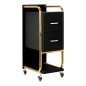 Professionele kappers trolley Gabbiano Solo goud-zwart voor accessoires, tools en cosmetica tijdens dagelijks salonwerk Professionele kappers trolley Gabbiano Solo goud-zwart voor accessoires, tools en cosmetica tijdens dagelijks salonwerk
