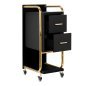 Professionele kappers trolley Gabbiano Solo goud-zwart voor accessoires, tools en cosmetica tijdens dagelijks salonwerk Professionele kappers trolley Gabbiano Solo goud-zwart voor accessoires, tools en cosmetica tijdens dagelijks salonwerk
