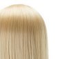 Oefenhoofd voor kappers Gabbiano WZ2 met synthetisch haar kleur 613, 24 inch voor professioneel oefenen in salontraining Oefenhoofd voor kappers Gabbiano WZ2 met synthetisch haar kleur 613, 24 inch voor professioneel oefenen in salontraining