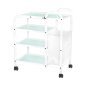 Professionele cosmetische tafel Giovanni type 1031 voor beautysalon, podologie en behandelruimte, efficiënt salonwerk