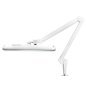 Professionele LED-werklamp Elegant 801S wit met tafelklem voor salon, praktijk en behandelruimte voor nauwkeurig werk